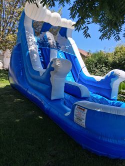 Fun in the sun