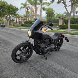 2024 Harley Davidson Street Bob