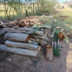 Firewood ( Eucalyptus)