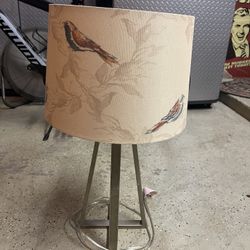Beautiful Lamp Bird Collection 