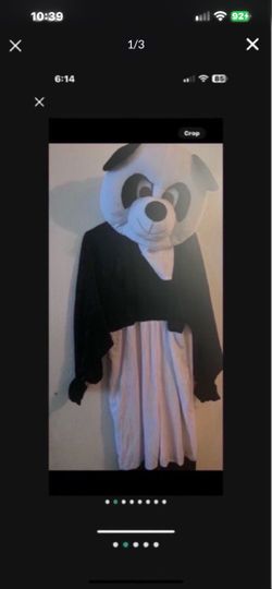 Panda Bear Mascot Costume