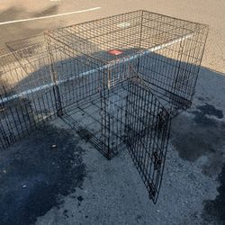 Kennel Master 