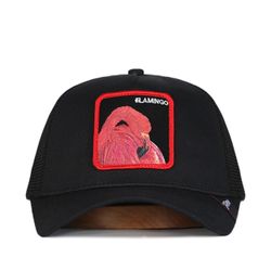Black Flamingo 