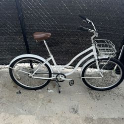 Beach Cruiser Belt Drive
