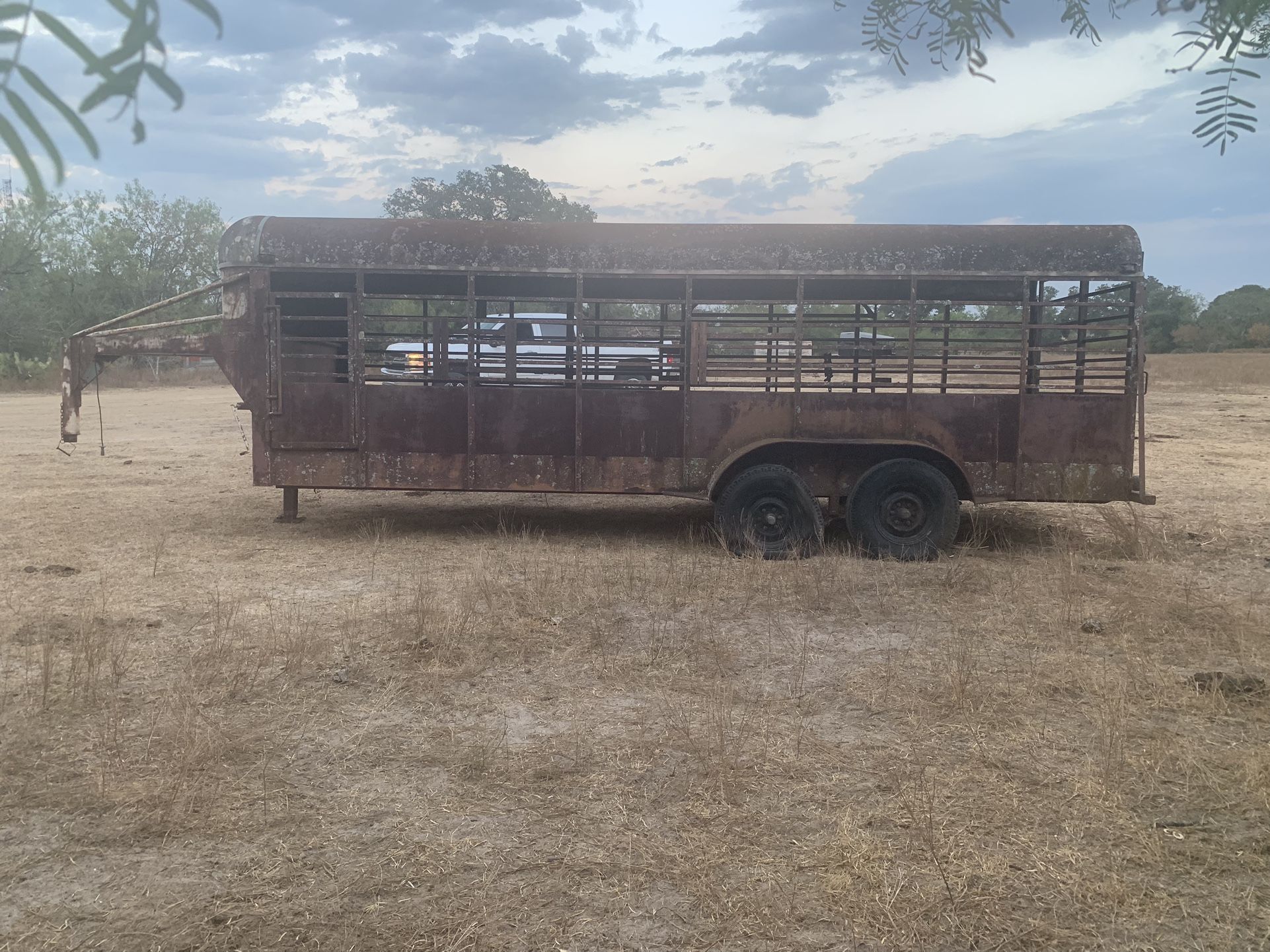 Cattle Trailer