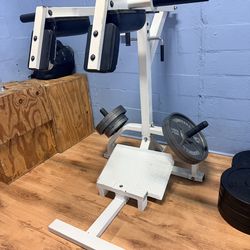Hack Squat Powertec Squat/Calf Machine With Plates