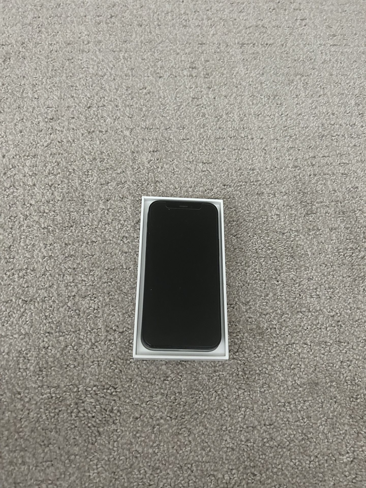 iPhone 12 mini
