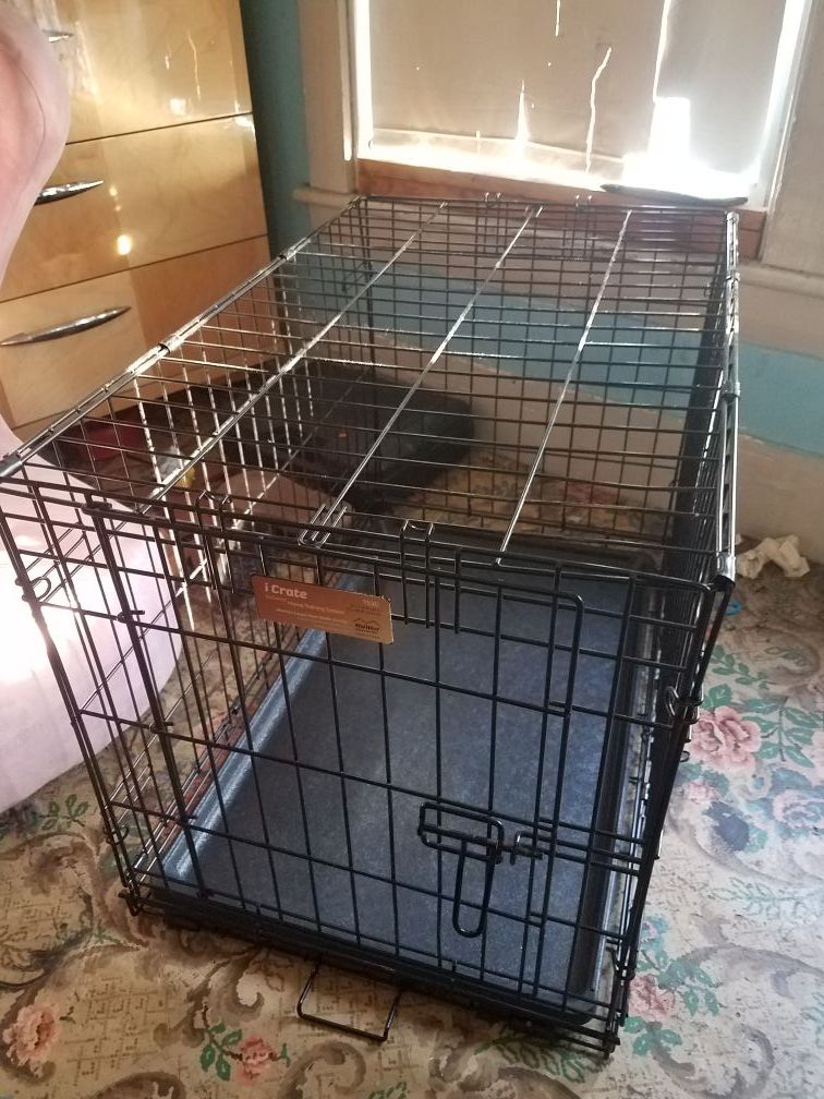 how do you clean a rusty dog crate