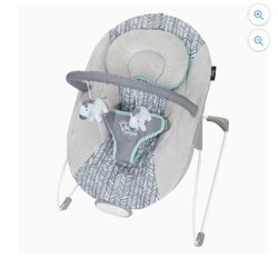 Baby Bouncer 