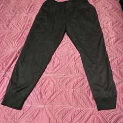 The North Face Womens Size Large Jogger Pants 