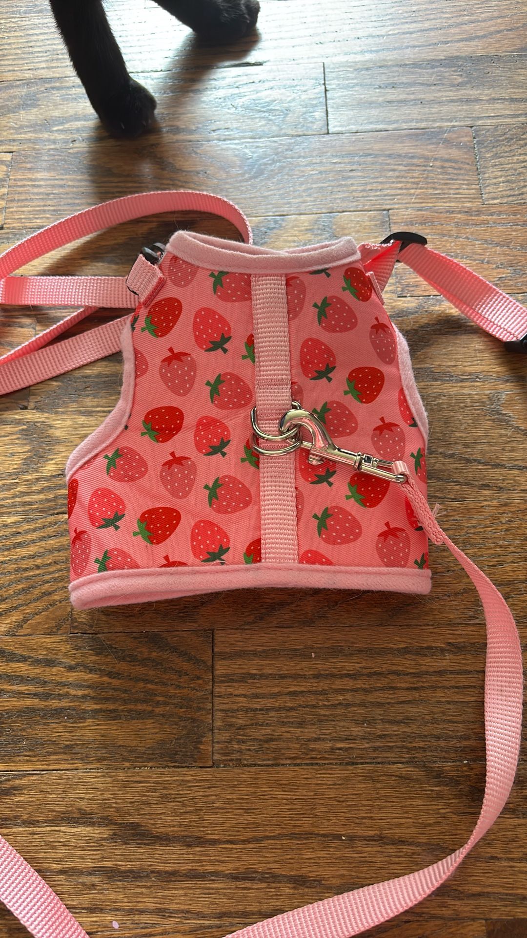 Small Dog/ Cat Harness And Leash
