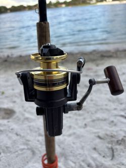🐠 Preowned Daiwa BG13 Reel & Beautiful Costume Made 8-17LB 7FT Rod 🔥