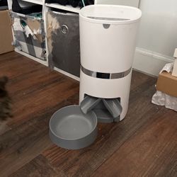 Well To Be Cat Feeder 