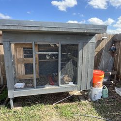 🕊️ Pigeons & Coop for Sale – $40 per Pair | Coop $400 | Package Deal Available 