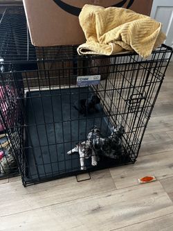 dog cage