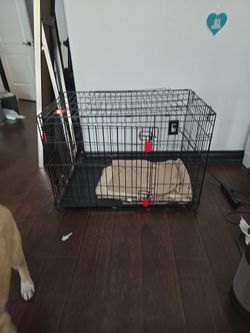 Dog Cage