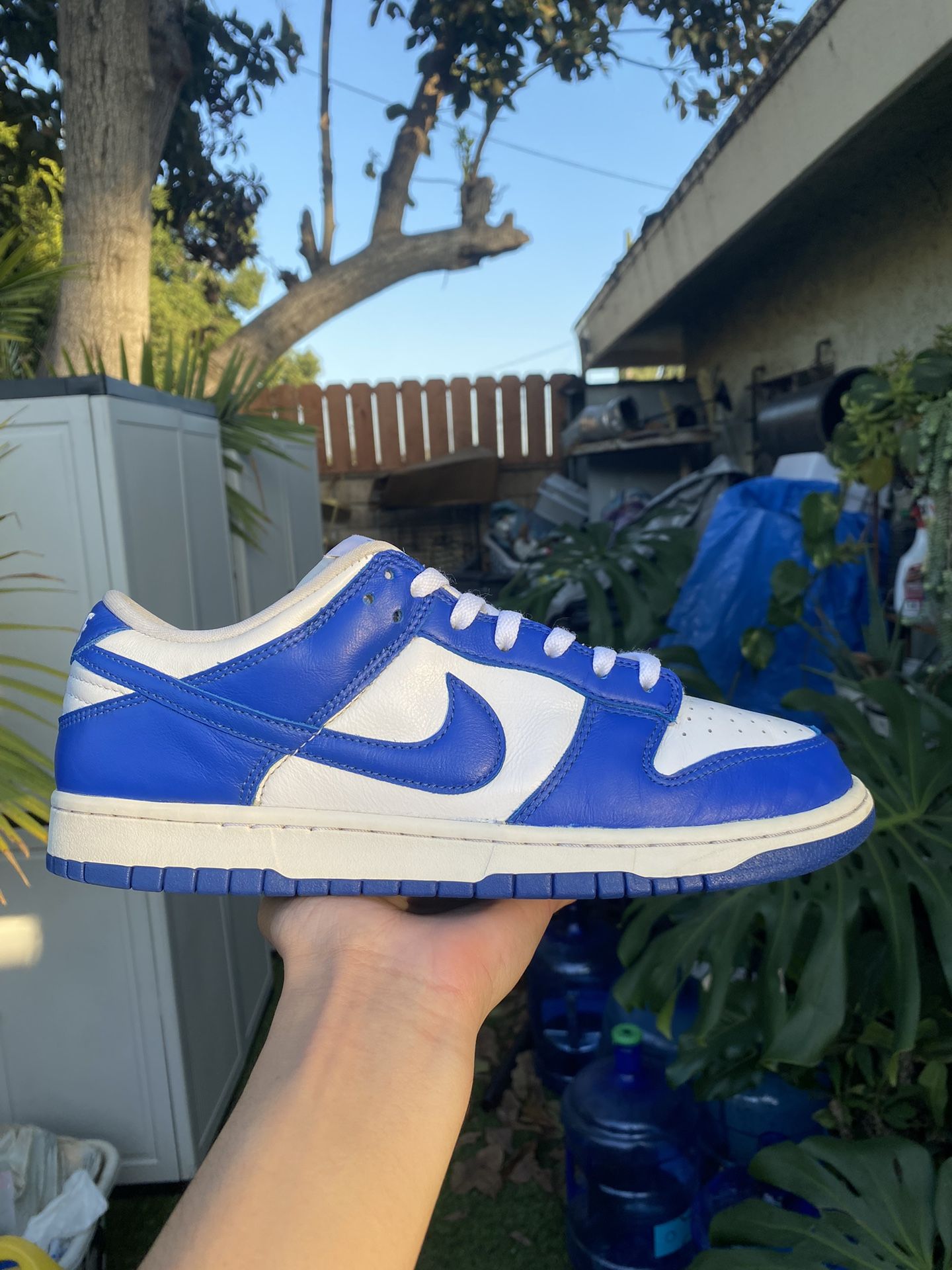 Nike Dunk Low Kentucky
