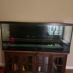 120 Gallons For Sell