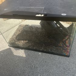 Fish Tank