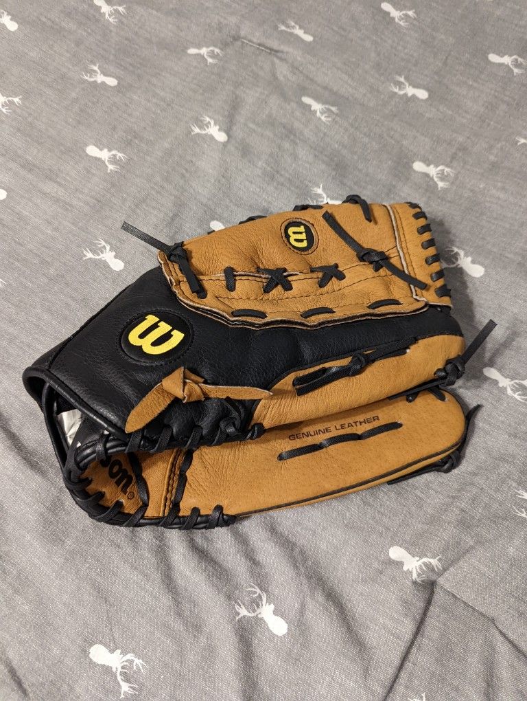 Baseball Glove