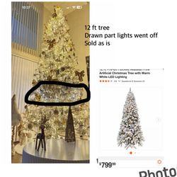 12 Ft tree