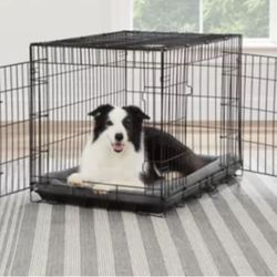 Dog Cage