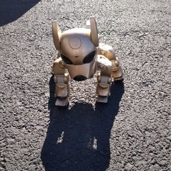 Robot Dog 
