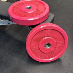 Pink Bumper Plates 45lb pair