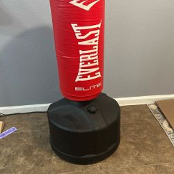Everlast Practice Bag