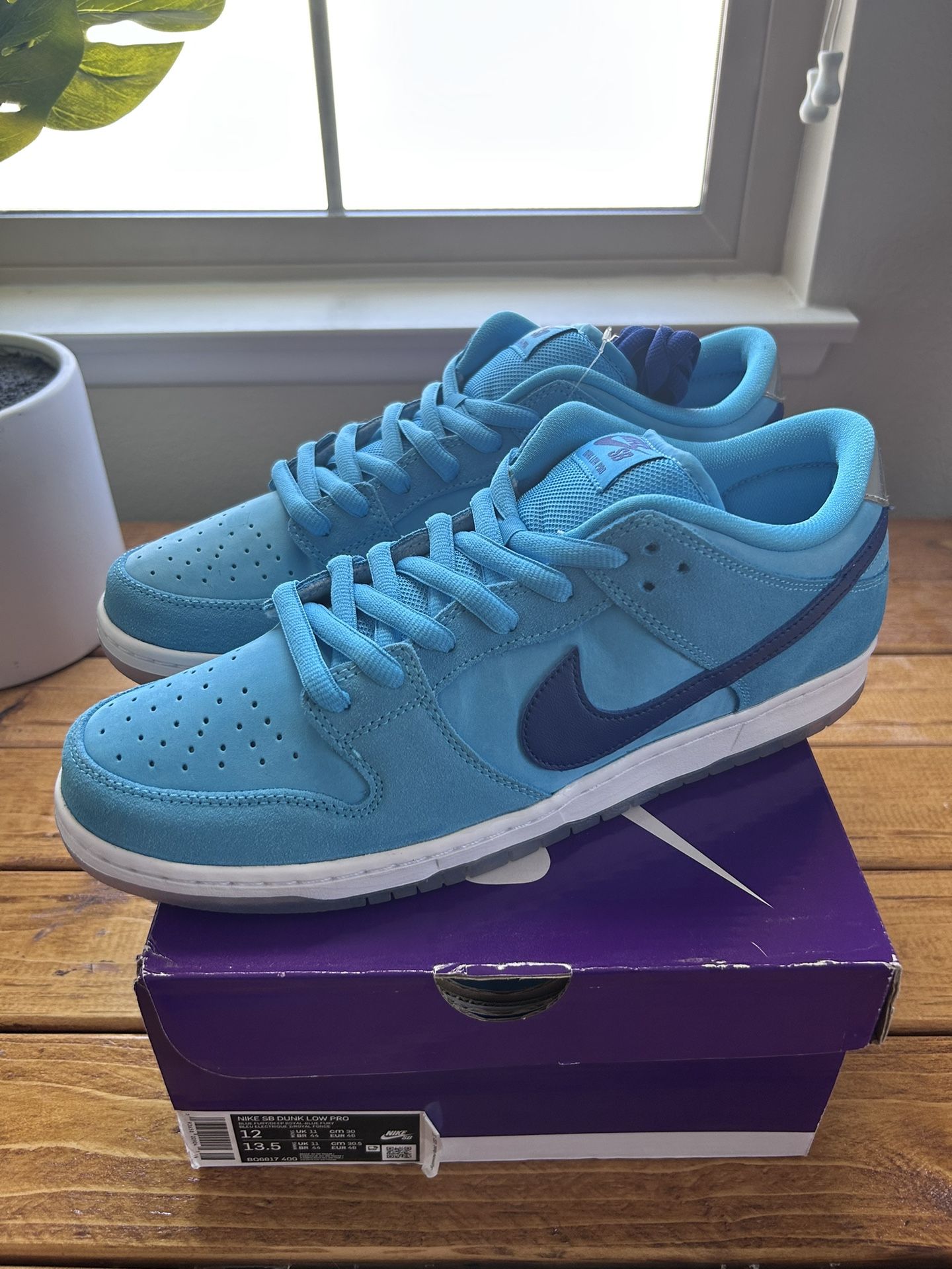 Nike SB Dunk Low Pro Blue Fury