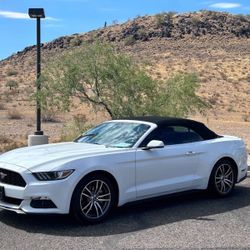 2017 Ford Mustang EcoBoost Premium EcoBoost Premium 2dr Convertible Price $14,000 Mileage 151,357