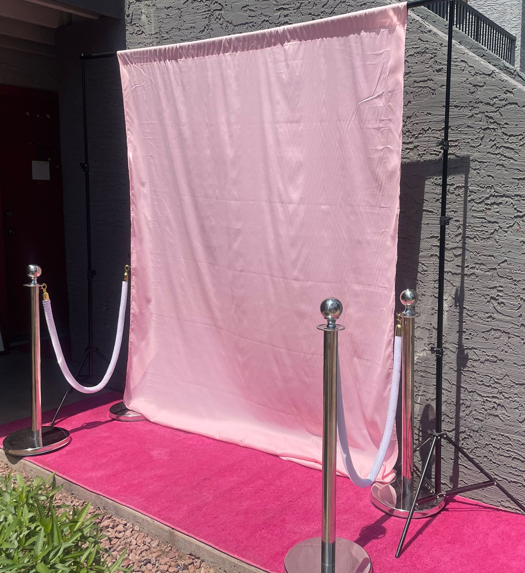 Pink Carpet Rollout Kit