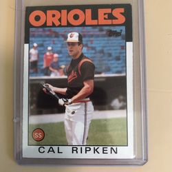 Cal Ripken # 340