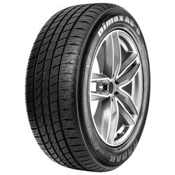 Radar Dimax AS-8 205/50R17 All Season Tire
