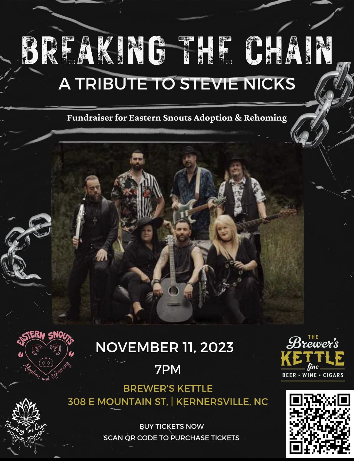 Breaking The Chain - A Stevie Nicks Tribute