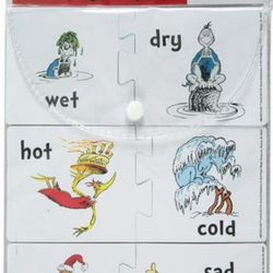 Self-Correcting Learning Puzzles 