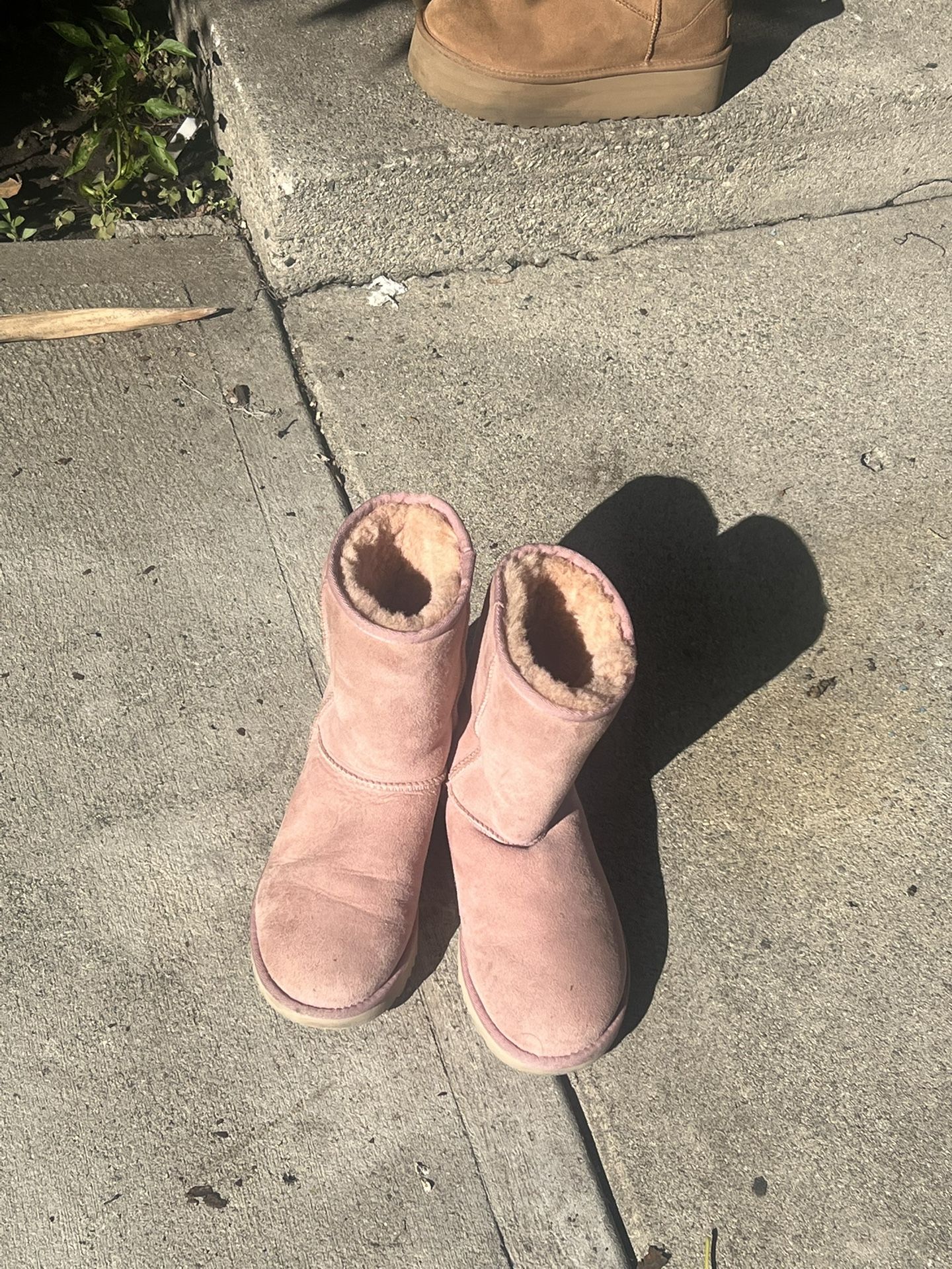 Pink Classic Ugg