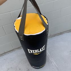 Everlast punching bag 