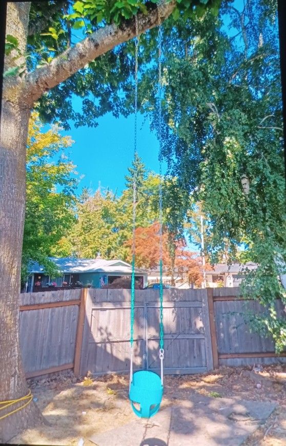 Infant/Toddler Bucket Swing