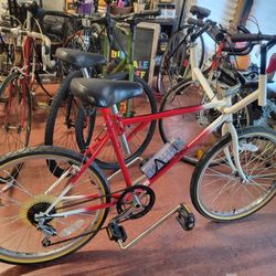 Tandem Side By Side Buddy Bike