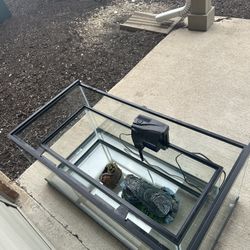 Fish Tank & Accessories 