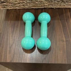5lb Dumbbells  
