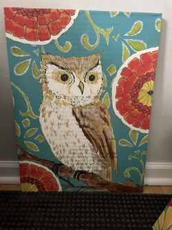 Set Of 3 Pier One Owl Canvases