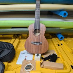 Ukulele