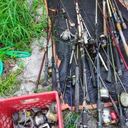 Fishing rods $125 altogether Located Mount Dora Fla 32757