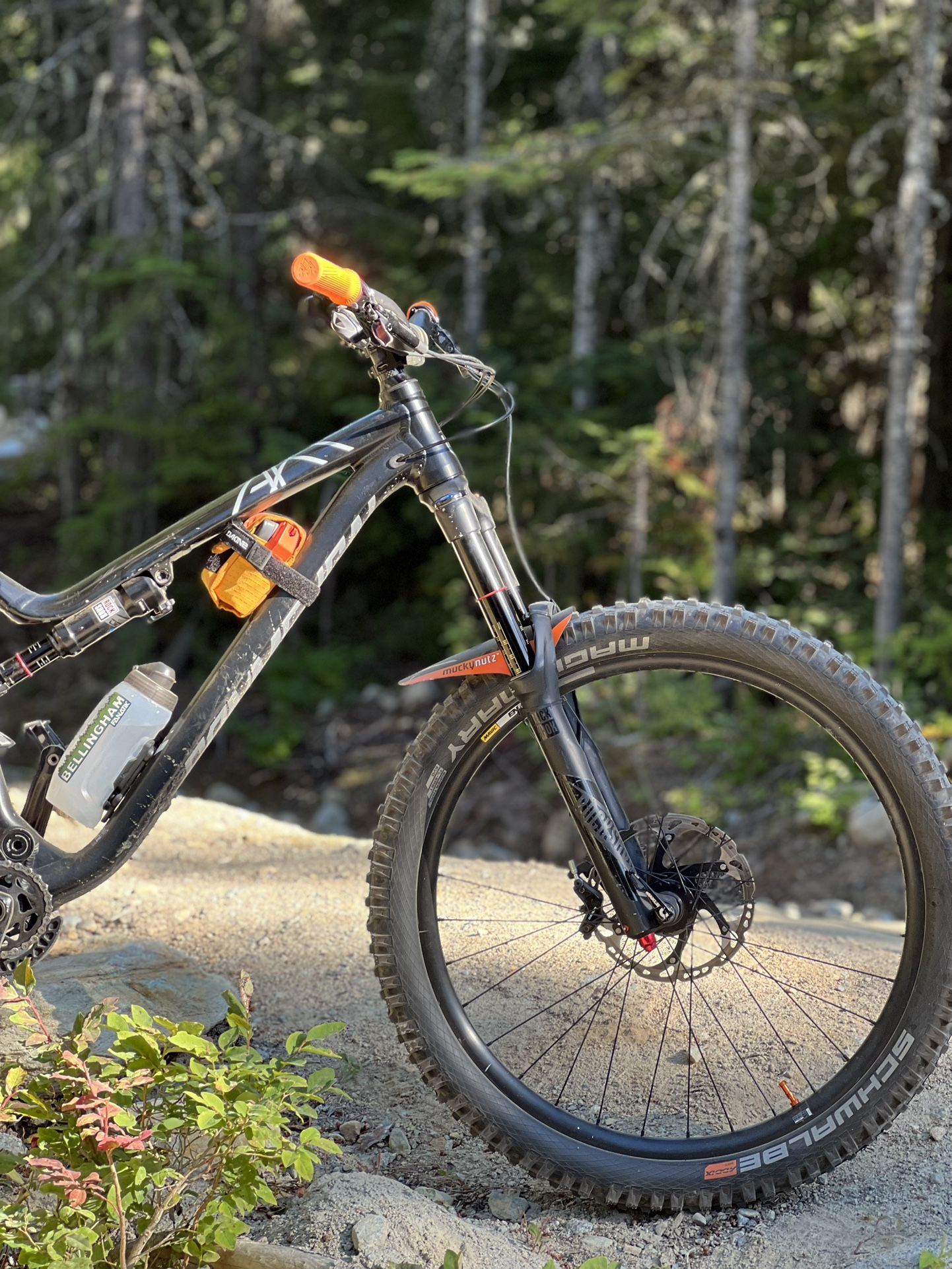 mountain bike trade in