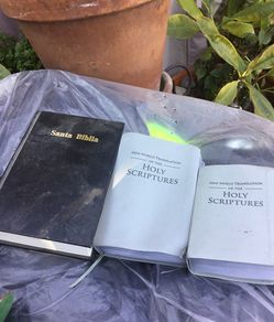Biblias