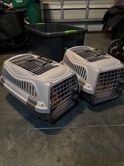 Pet carrier