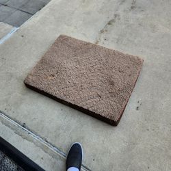 Small to medium sized dog bed in decent shape 