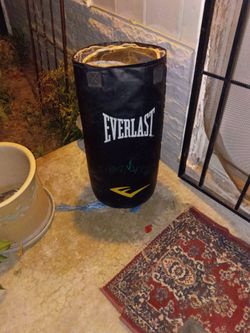Everlast Punching Bag